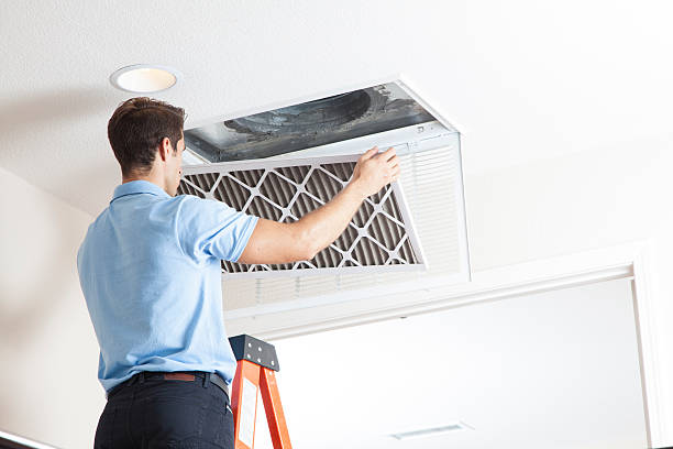 Best HVAC Companies Near Me  in St Petersburg, FL